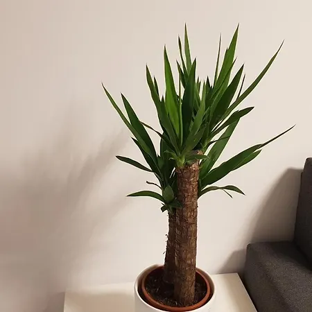 아파트 Amik Apartament-night View *